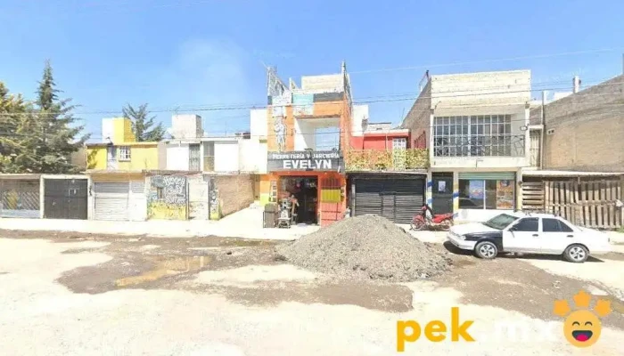 Plomeria Y Electricidad "El cubano" - Villa De Almoloya De Juárez