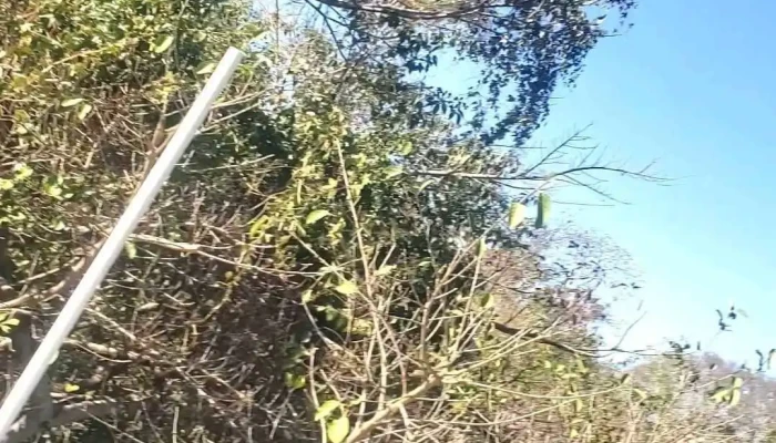 Plomeria Y Electricidad Genchi Videos - Cruz Grande