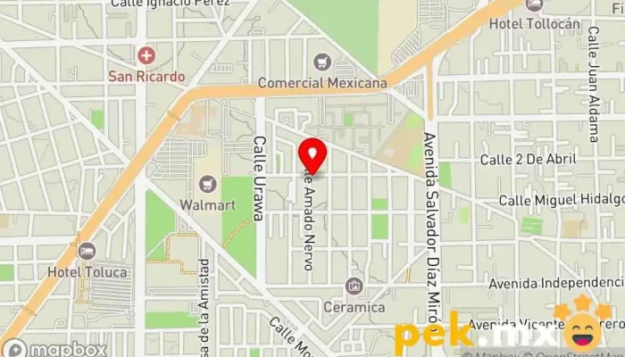mapa de Plomería y electricidad Hernández Contratista en Toluca de Lerdo
