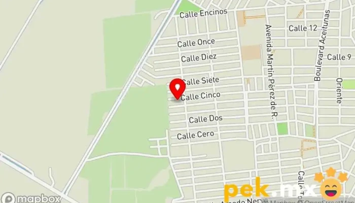 mapa de Plomeria Y Electricidad Parra Tienda de electrónica en Guasave