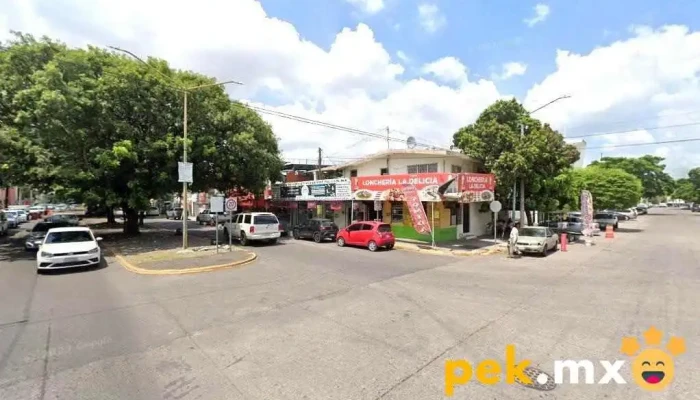 Plomería y Electricidad Ruiz - Culiacán Rosales