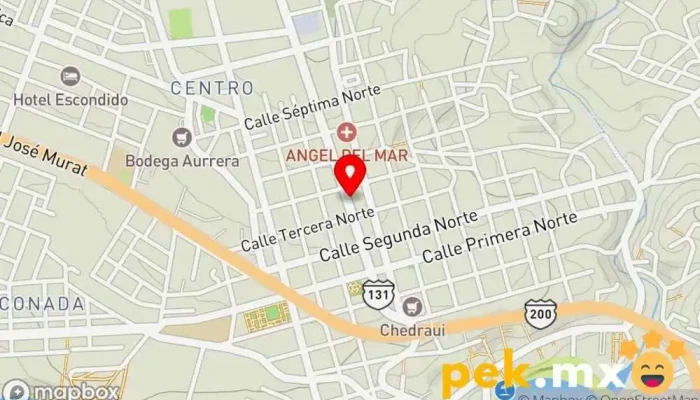mapa de Plomero Alejandro Canseco Contratista de piscinas en Puerto Escondido