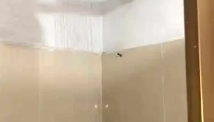 Plomero Electricista -  Interior - Culiacán Rosales