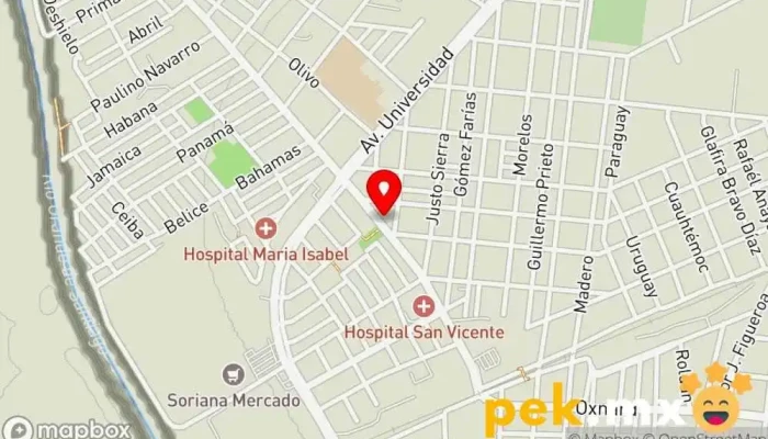 mapa de PM Electric Material Eléctrico Electricista, Tienda de herramientas en Ocotlán