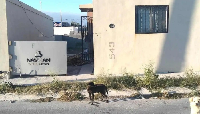 Portal de las salinas. Cienega de flores, nl - Vivero Del Puente Lote 122
