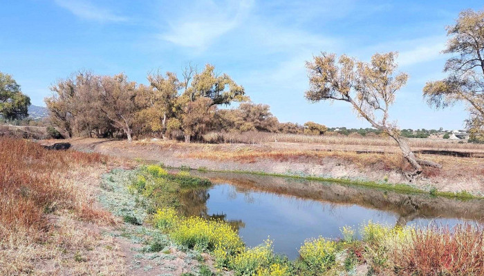 Presa De Santa Maria Ajoloapan -  Estado De Mexico - Estado de México