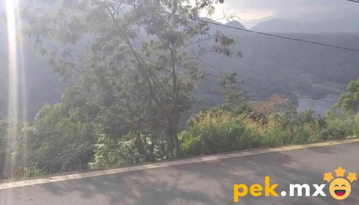 Presa Tuxpango -  Videos - Veracruz