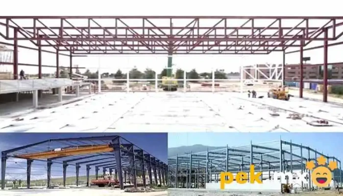 Procesa -  Del Propietario - Juárez