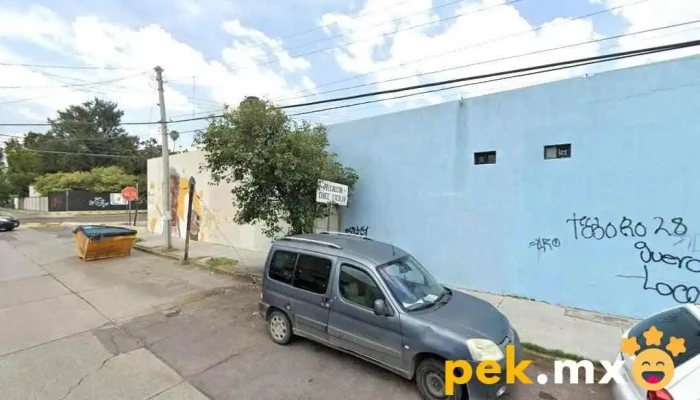 Profesionales En Cerrajeria - Aguascalientes