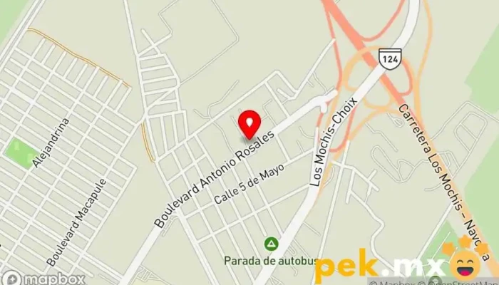 mapa de Promotora Ambiental de la Laguna S.A. de C.V. Servicio de gestión de residuos en Los Mochis