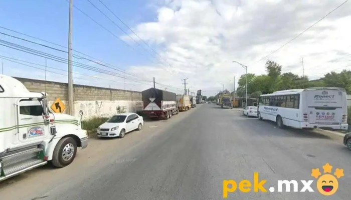 Proveedora Agroindustrial De Montemorelos S.a. de C.v. - Colonia Barrio Garza Garcia