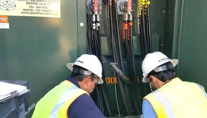 Proyecto Y Mantenimiento Eléctrico Industrial (pyme) - Distribuidores Circutor - Independencia