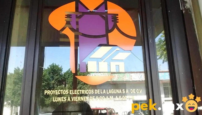 Proyectos Electricos De La Laguna Sa - Miguel De La Madrid Hurtado