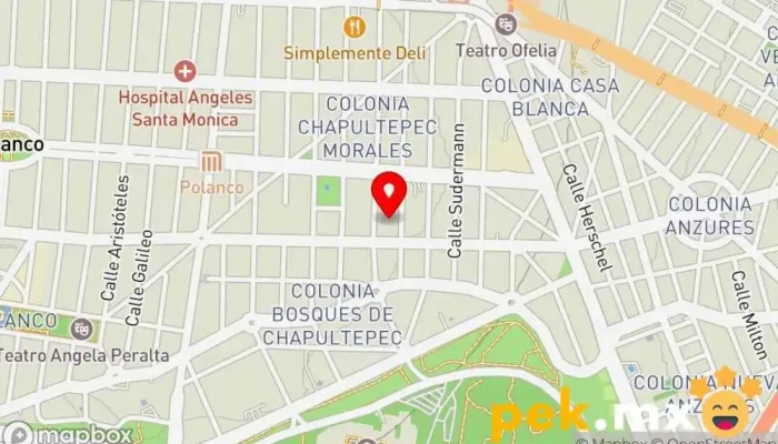 mapa de Proyectos y Construcciones Electricas Empresa constructora, Ingeniero eléctrico, Electricista en Miguel Hidalgo, Ciudad de México