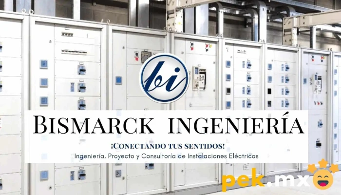 Proyectos Y Construcciones Electricas -  Sitio Web - Miguel Hidalgo, Ciudad de México