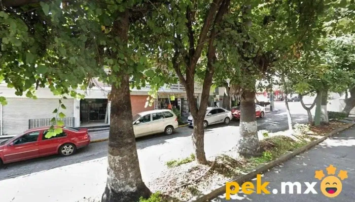 Puertas Automáticas Cuernavaca Morelos Auvicom - Cuernavaca