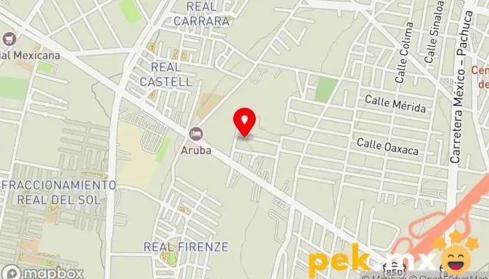 mapa de RCI ENERGIES DE MEXICO | Paneles Solares Proveedor de equipos de energía solar en Ojo de Agua
