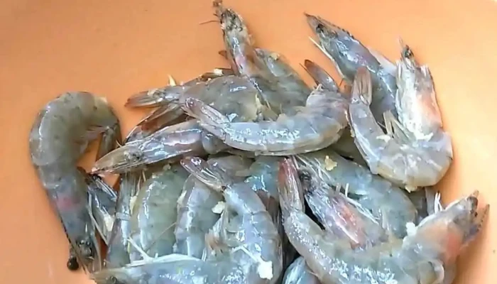 Real Del Valle -  Videos - Oaxaca