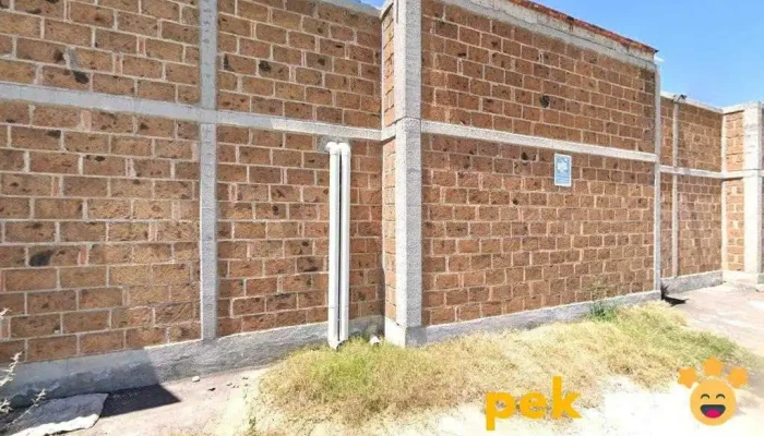Recicladora Queretana - 76225 Buenavista