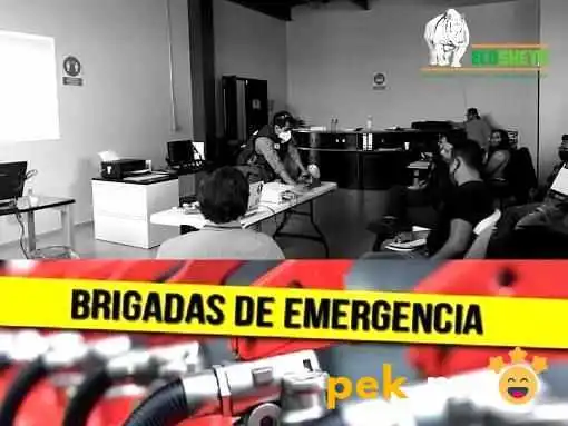 Recolección de Residuos Peligrosos - Atlacomulco De Fabela
