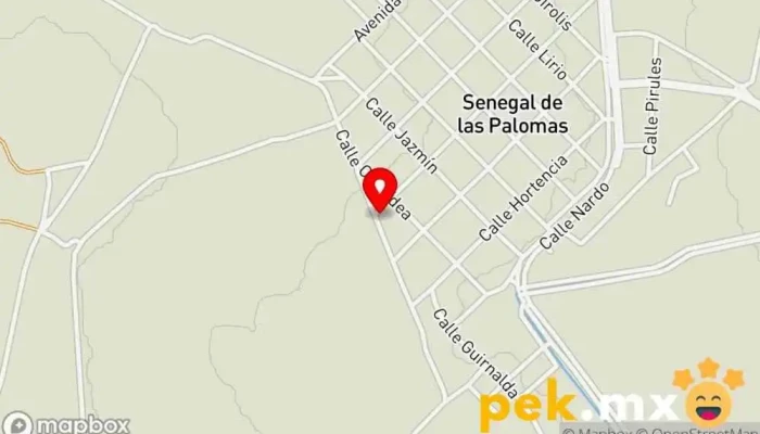 mapa de Remodelaciones, Proyectos y Automatización Electricista en Senegal de las Palomas