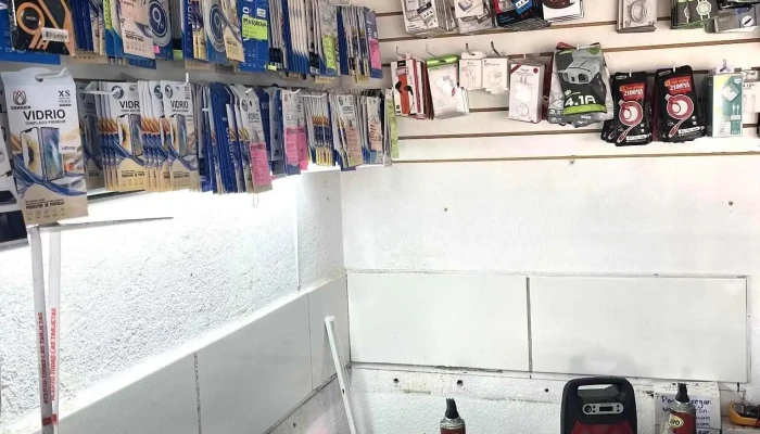 Reparacion de celulares tectec (sucursal puertecito de la virgen) - 20358 Ex-Viñedos Guadalupe
