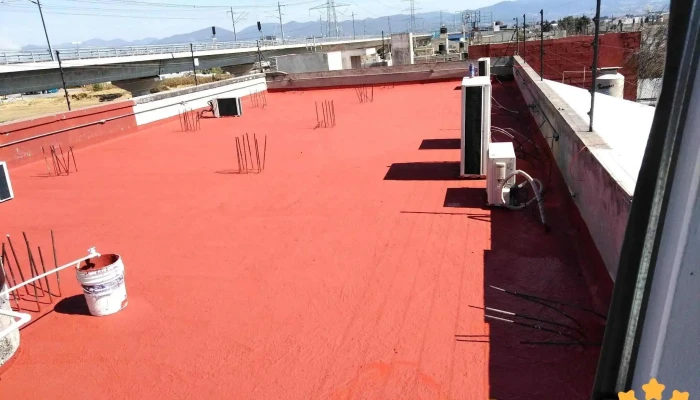 Risoul Y Compania Zona - Metepec