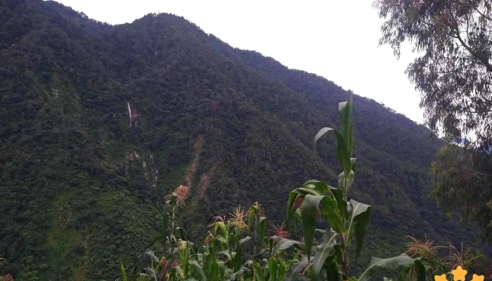 San Juan Ozolotepec -  Montana - San Juan Ozolotepec