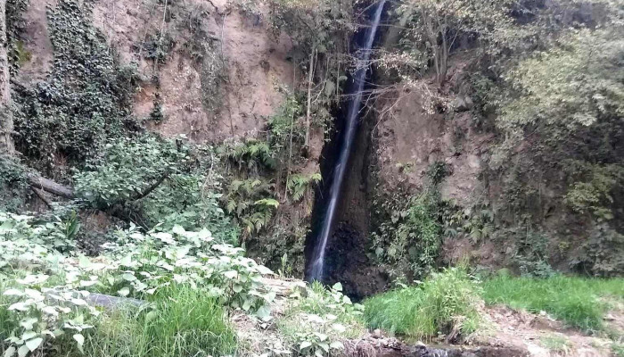 San Juan Xoconusco -  Puntaje - San Juan Xoconusco