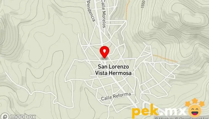 mapa de San Lorenzo Vista Hermosa  en San Lorenzo Vista Hermosa