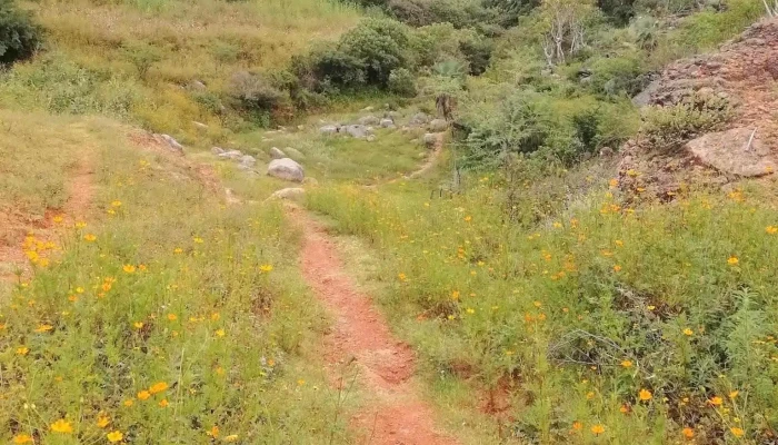 San Mateo Sindihui -  Montana - San Mateo Sindihui