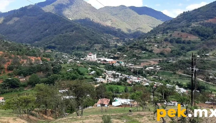 San Miguel Peras -  Catalogo - Oaxaca