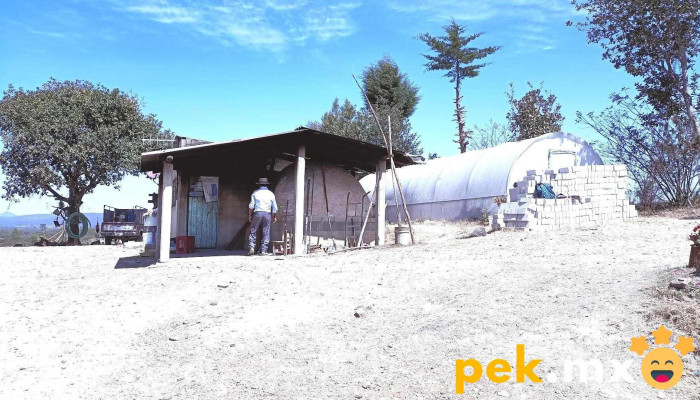 San Pedro Coxcaltepec Cántaros - Oaxaca