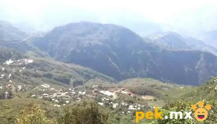 San Pedro Ocotepec - San Pedro Ocotepec