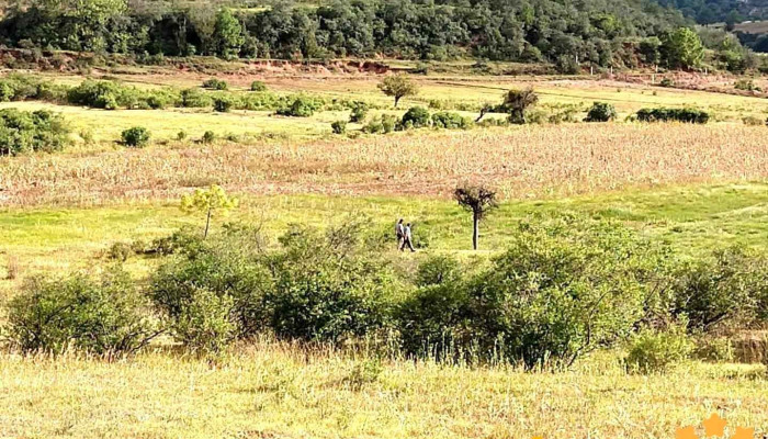 San Pedro Tidaá - San Pedro Tidaá