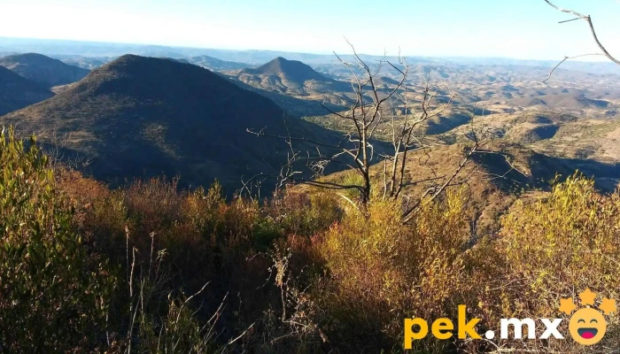 San Pedro Y San Pablo Tequixtepec -  Montana - Oaxaca