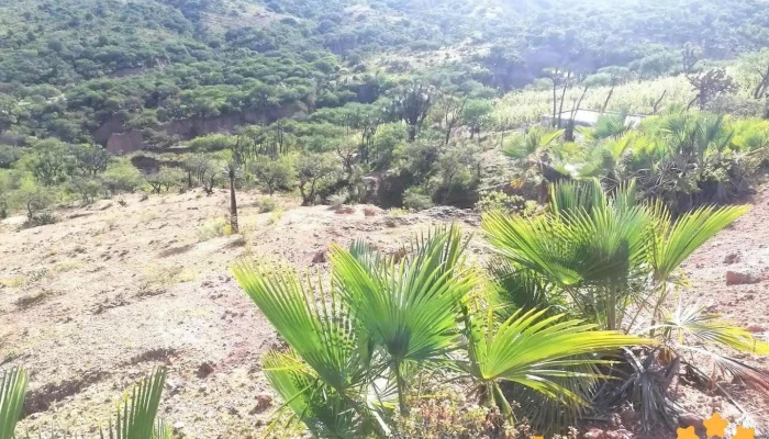 San Pedro y San Pablo Tequixtepec - Oaxaca