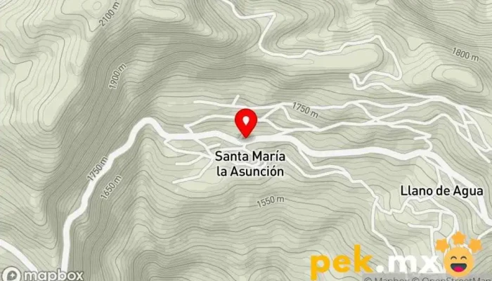 mapa de Santa María la Asunción Oaxaca Oficina de la Administración en Santa María la Asunción