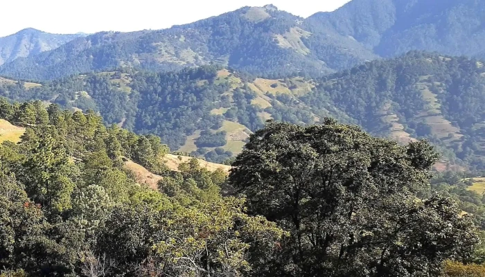 Santiago Huaxolotipac -  Videos - Santiago Huaxolotipac