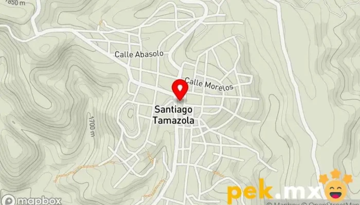 mapa de Santiago Tamazola Oficina de gobierno local en Santiago Tamazola