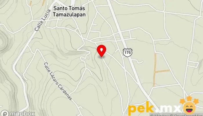 mapa de Santo Tomás Tamazulapan  en Oaxaca
