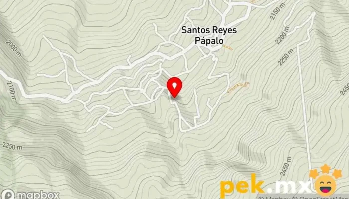 mapa de Santos Reyes Pápalo  en Santos Reyes Pápalo