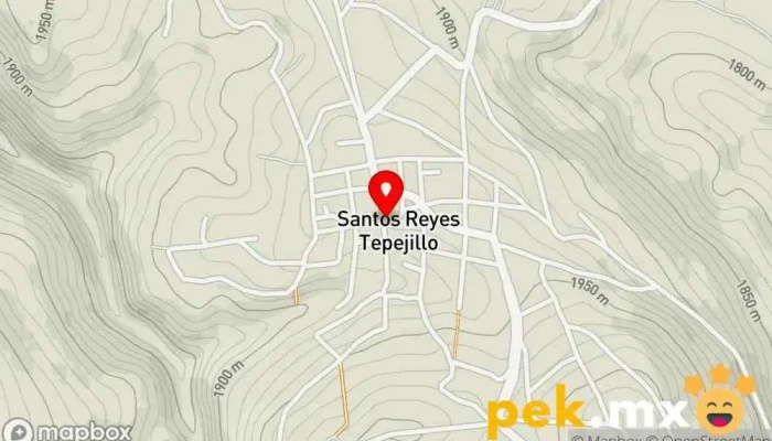 mapa de Santos Reyes Tepejillo  en Santos Reyes Tepejillo