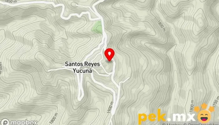 mapa de Santos Reyes Yucuná  en Santos Reyes Yucuná