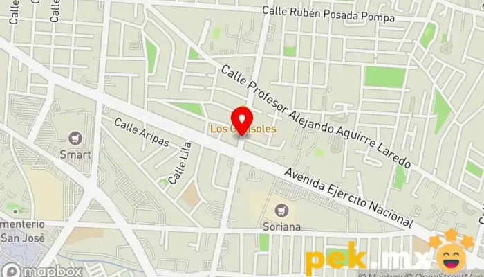 mapa de Seisa  en Juárez