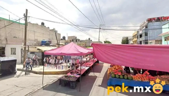 Seprogen - Cdad. Nezahualcóyotl