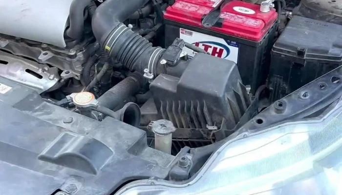 Servicio Becerra Tecamachalco Polanco Del Valle Videos - Ciudad de México