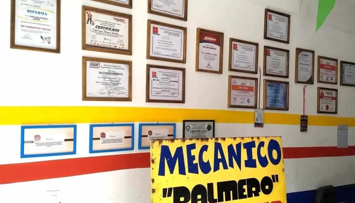 Servicio De Asistencia Automotriz Palmero -  Del Propietario - Ixtlahuaca de Rayón