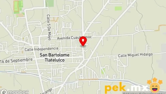 mapa de Servicio de Electricidad y Plomería ERICK Persona de mantenimiento en San Bartolomé Tlaltelulco