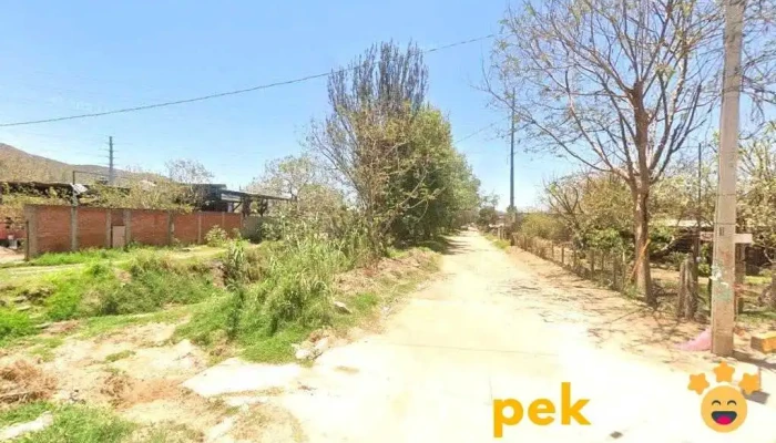 Servicio de Plomeria y Electricidad Dominguez Neri - Oaxaca De Juárez